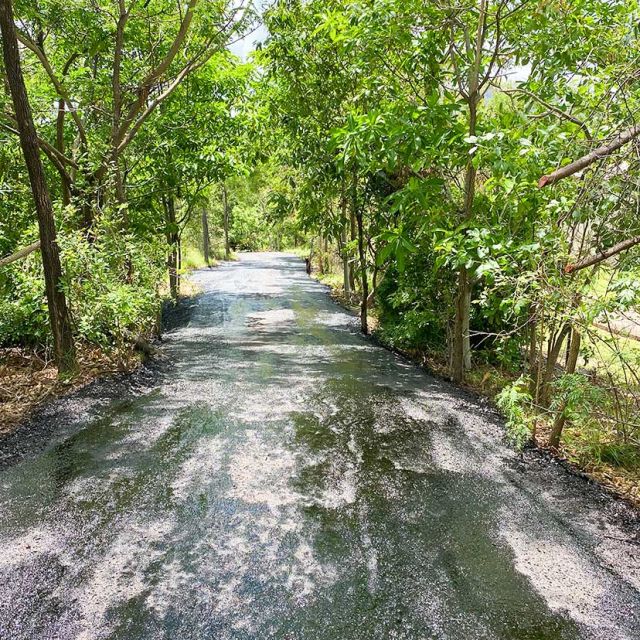 Upgraded rural road with spray seal surfacing completed by asphalt contractors