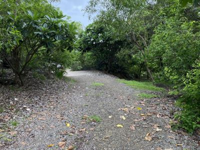 Water drainage management and spray seal driveway upgrade project